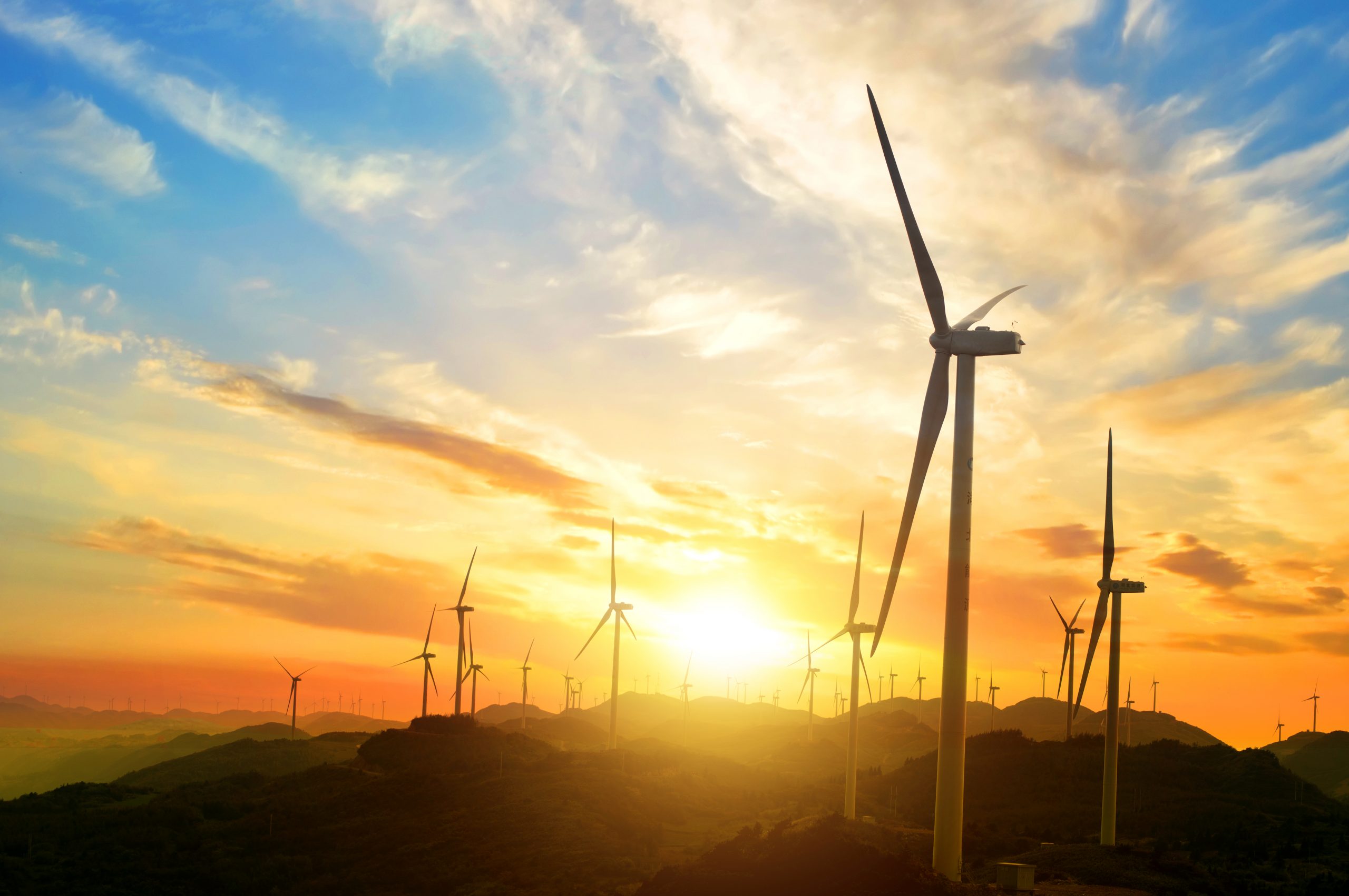 5 boas práticas agrícolas para o desenvolvimento sustentável