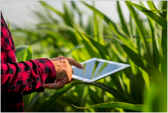 Agricultura 4.0: inovação e qualidade no Campo