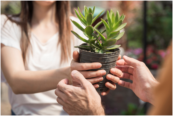 Impactos ambientais geram impactos sociais